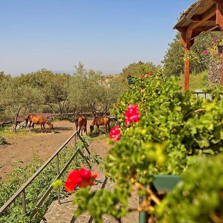 Horse House Apartment Ragalna Exterior foto