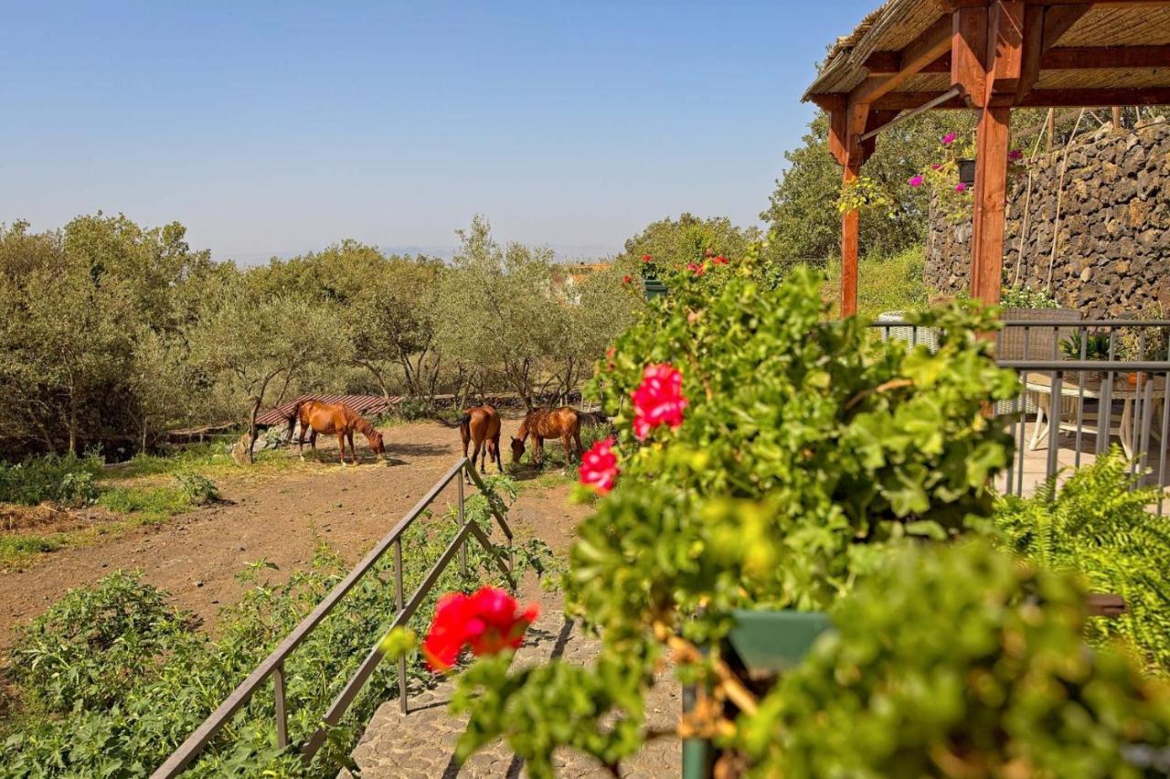 Horse House Apartment Ragalna Exterior foto